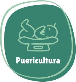 puericultura